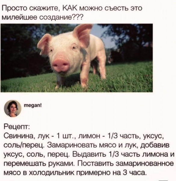 Мем, Кот Отморозкин