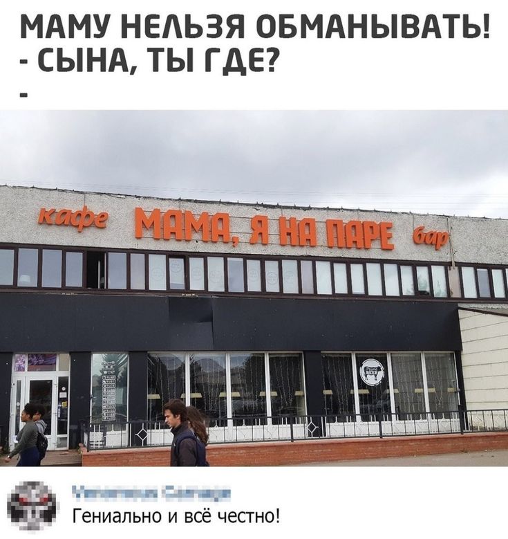 Мем, Рысь