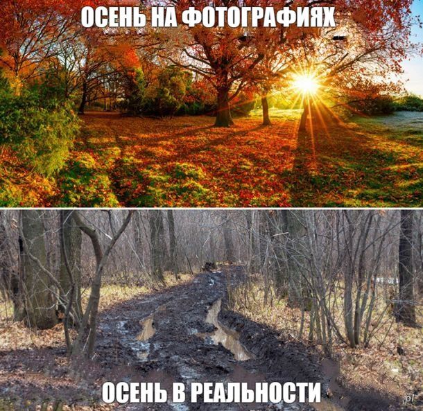 Мем, Рысь