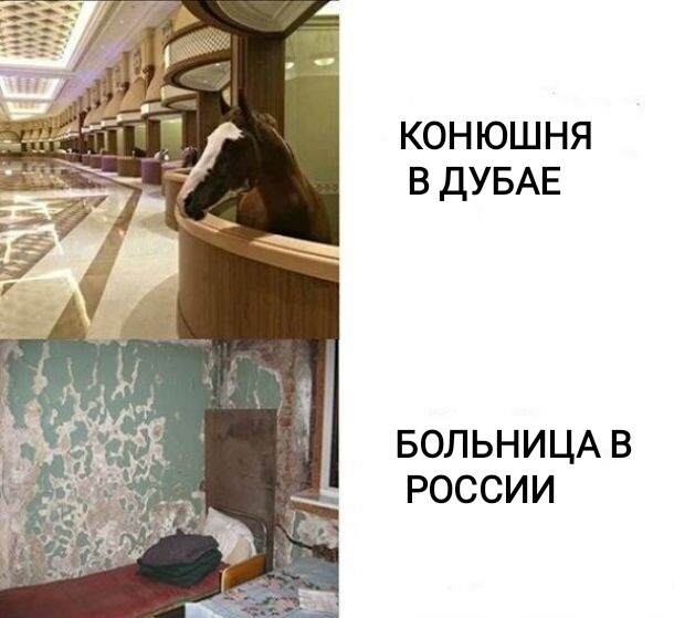 Мем, Рысь