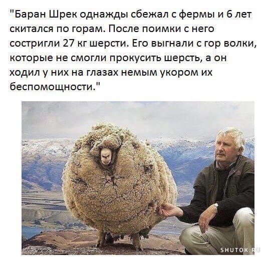 Мем, Джокер