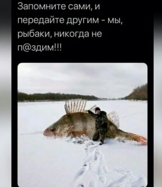 Мем, Юрий Небольсин