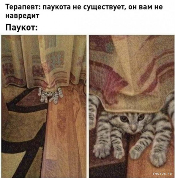 Мем, Джокер