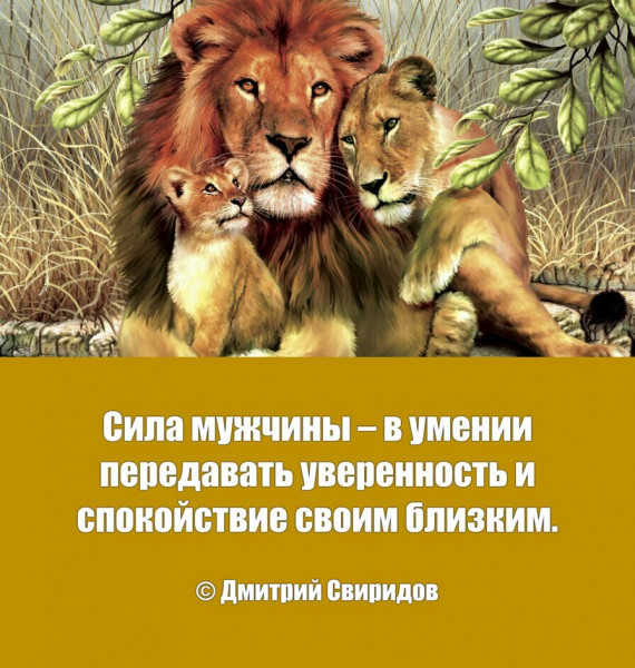 Мем, Дмитрий Свиридов