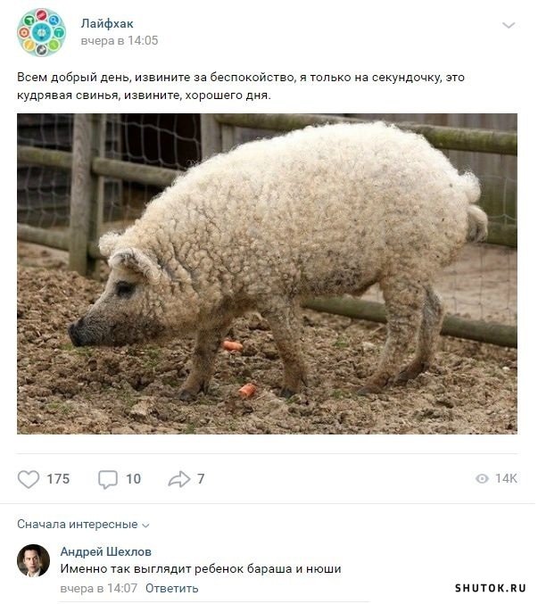 Мем, Джокер