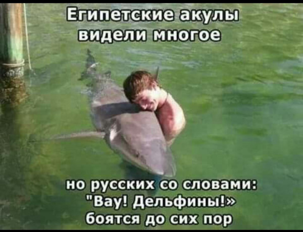 Мем