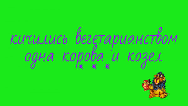 Мем: С иронией о разном, Владимир Олишевский