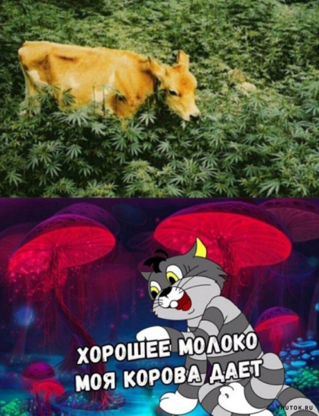 Мем, Джокер