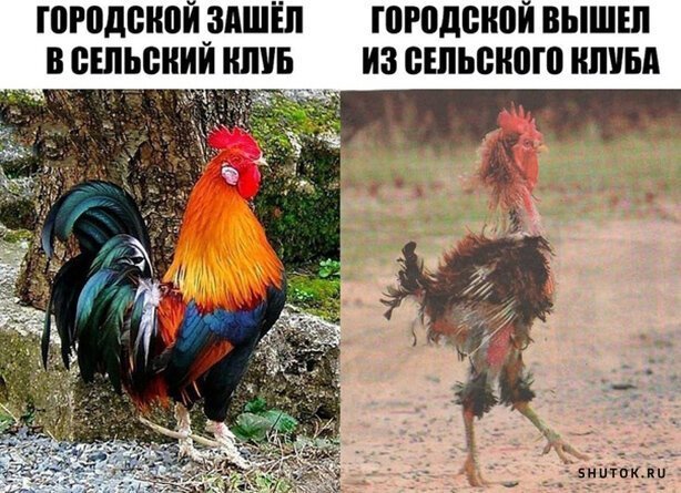 Мем, Джокер