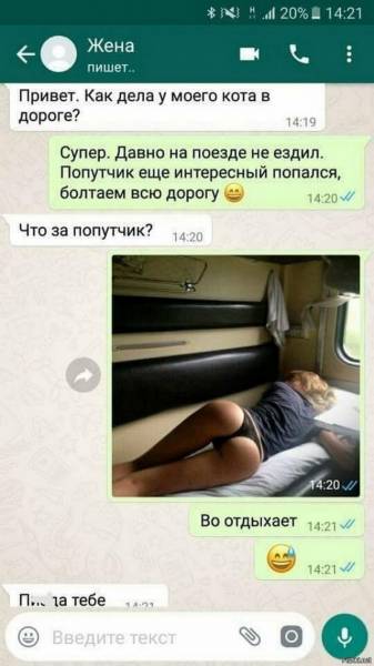 Мем, Юрий Небольсин