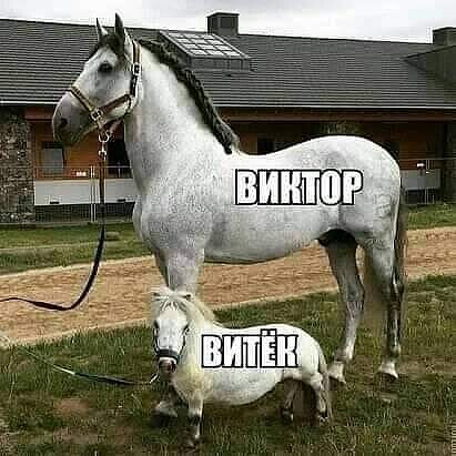 Мем, Юрий Небольсин