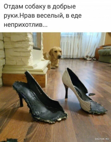 Мем, Джокер