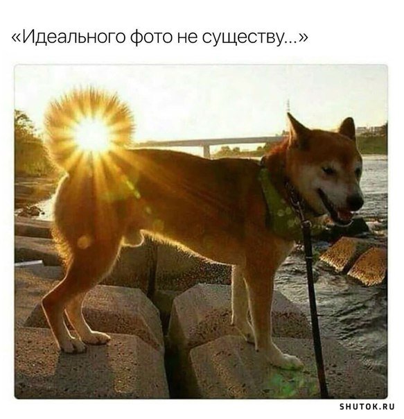 Мем, Джокер