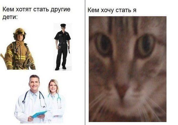 Мем, Кот Отморозкин