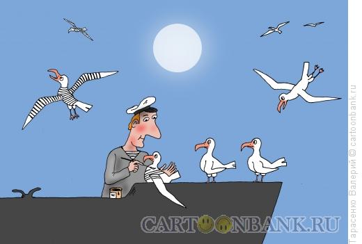 Карикатура: Чайки, Тарасенко Валерий