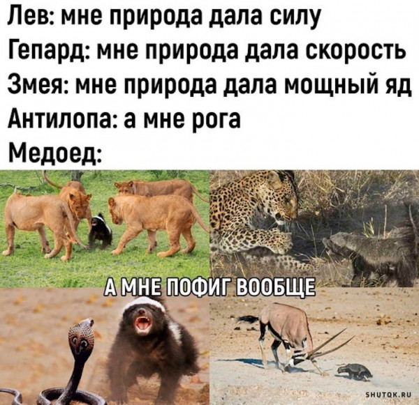 Мем, Джокер