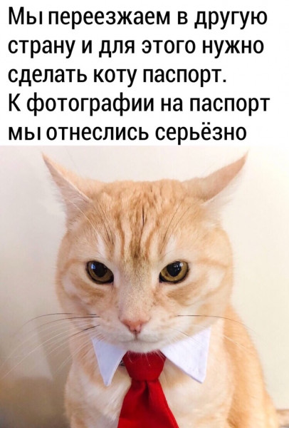 Мем