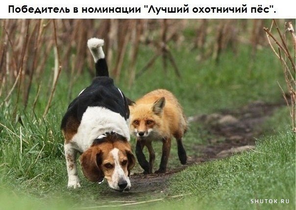Мем, Джокер Мем, Джокер