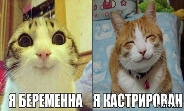 Мем, Джокер