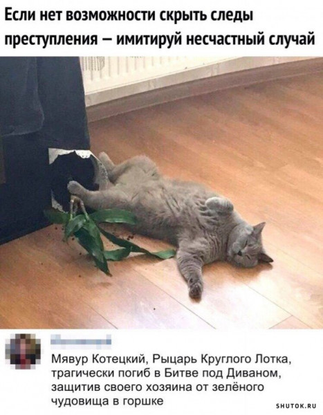 Мем, Джокер