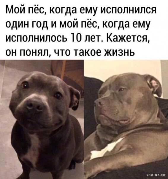 Мем, Джокер