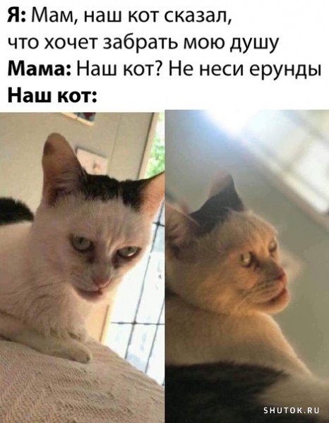 Мем, Джокер