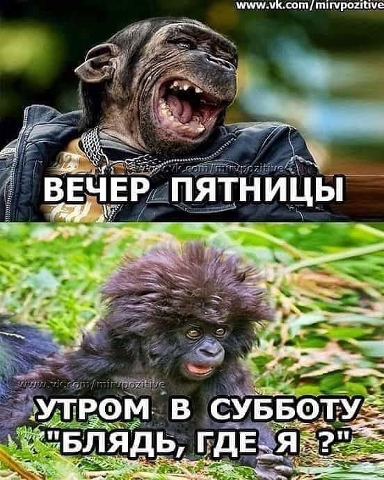 Мем, Небойси