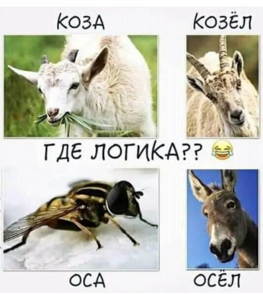 Мем