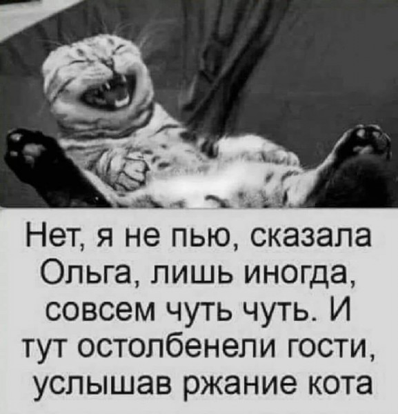 Мем, Юрий Небольсин