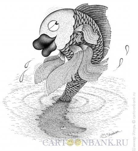 Карикатура: Рыбка., Шинкар Игорь