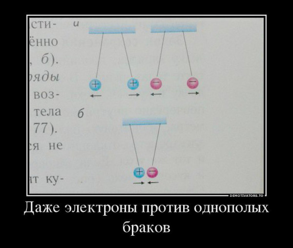 Мем, Кот Отморозкин