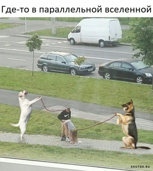 Мем, Джокер