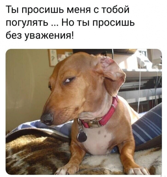 Мем, Зеленая Миля