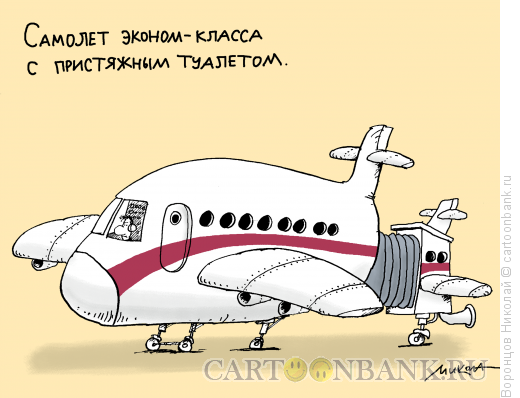 Карикатура: Эконом-класс, Воронцов Николай