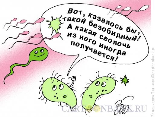 Карикатура: Сперматозоид, Зеленченко Татьяна