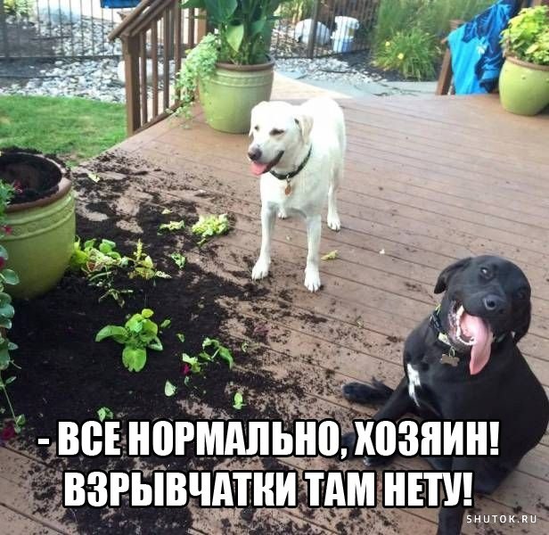 Мем, Джокер