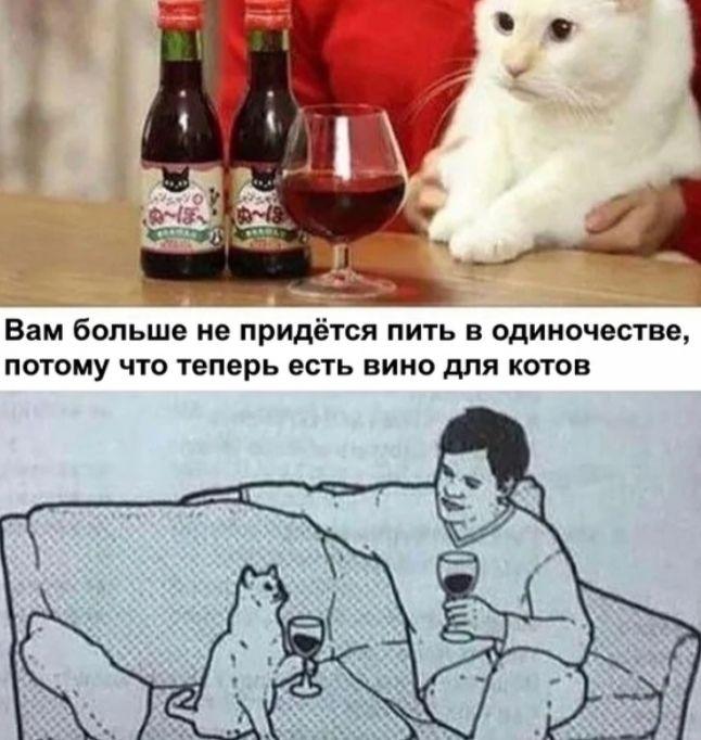 Мем, Кот Отморозкин