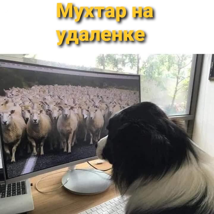 Мем