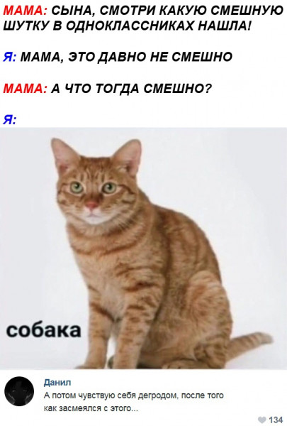 Мем, Кот Отморозкин