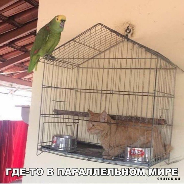 Мем, Джокер