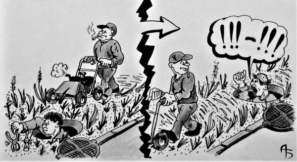 Карикатура: Газонокосильщик, backdanov