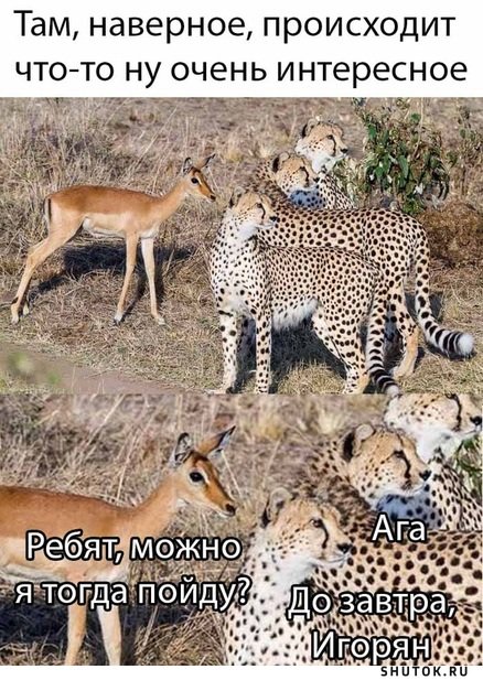 Мем, Джокер