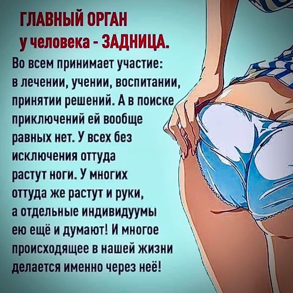 анекдоты о жопе и голове фото 57