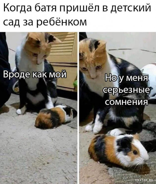 Мем, Джокер