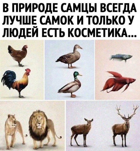 Мем