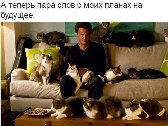 Мем, Кот Отморозкин