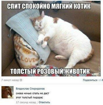 Мем, Кот Отморозкин