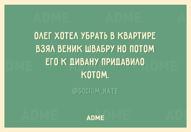 Мем, Рысь