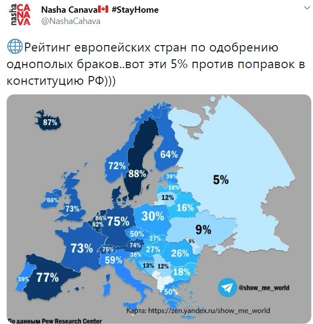 Мем, Кот Отморозкин