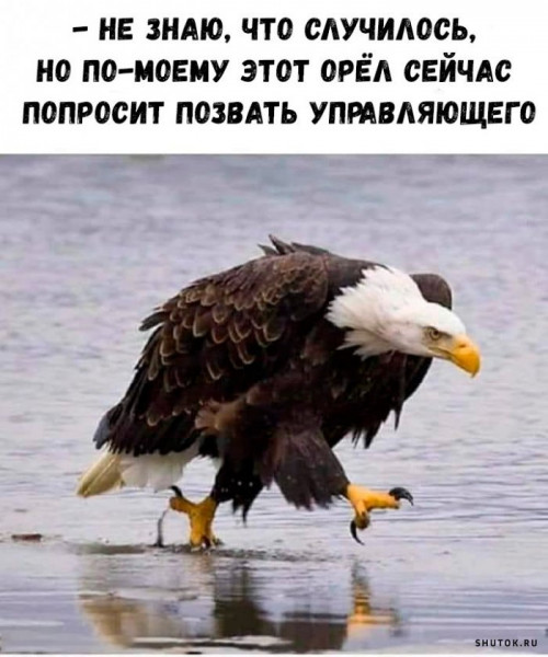 Мем, Джокер